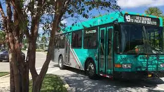 Palm Tran Bus 49 Arrival, Palm Beach Outlets, 2016 Gillig Low Floor 29'