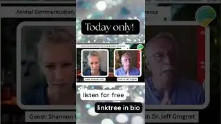 Pet reincarnation - all the behind the scenes how to #reincarnation #petloss #animalcommunication
