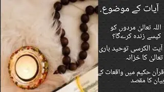 Sarah Basra Urdu translation 150/160 Zayan by Night Hashmi