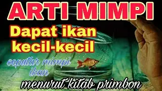 Arti Mimpi Menangkap ikan kecil kecil || PRIMBON JAWA LENGKAP