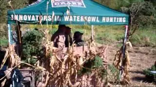 2013 Grand Fall | United Kennel Club