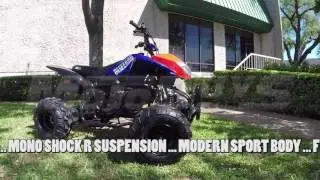 Kymoto Blizzard Super Sport ATV 150cc