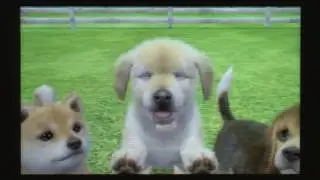 CGRundertow - NINTENDOGS + CATS for Nintendo 3DS Video Game Review