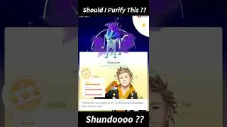 Should I Purify This For a Shundo ??