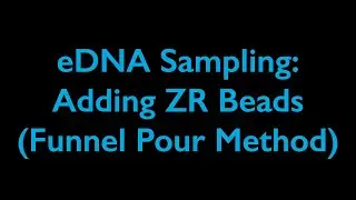 Adding ZR beads to Sterivex filters (funnel pour method)