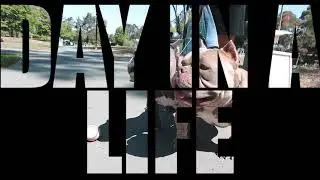 Day In A Life @five.theink