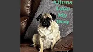 Aliens Take My Dog