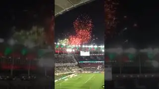 FESTA TRICOLOR LINDA D+ #fluminense #fluminensefootballclub #flutv #fluminensesfc