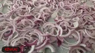 Onion Drying Process with Heat Pump Drying Machine Made by KINKAI
