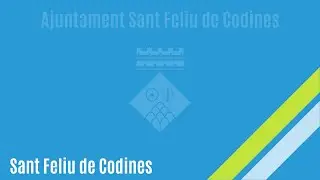 Sessió plenària ordinària dijous 28 de novembre de 2024