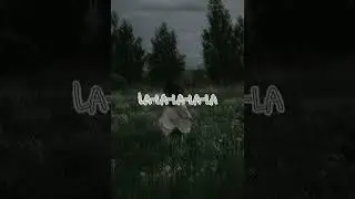 Outrunning karma (Alec Benjamin) - Vietsub lyrics by Dysis.