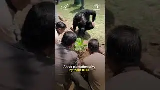 World Environment Day 2025 | Tree Plantation Drive at The Ashok | #event  #worldenvironmentday2025
