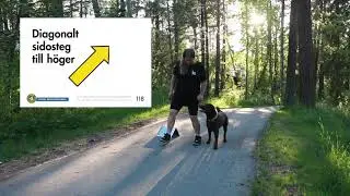 Rallylydnad - Nyb&ouml;rjare , skylt 118. Diagonalt sidosteg till h&ouml;ger.