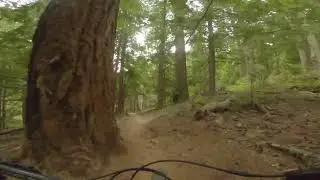 Alsea - Gutrobber to Parking Lot