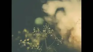 Hotel Neon &ndash; Essential Nature