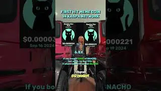 FIRST HIT MEME COIN IN KASPA NETWORK investment #money #trading #trader #memecoin #crypto