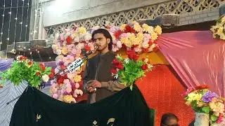1 Shaban 2026 | Jashan villadat Bibi Zainab S.A | Mohalla Haideria 