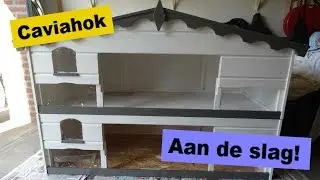 Werken aan het nieuwe caviahok! // caviaflat