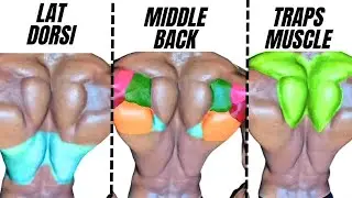 TOP 5 LAT MIDDLE BACK AND TRAPS WORKOUT WITH DUMBBELLS  ONLY AT HOME OF GYM ( PROGRAM)
