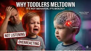 Why Is My Toddler Like This? What No One Tells Parents About Their Brain