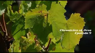 Episode 9 Chronicles of Oros, Lightborn Book 1