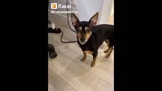 favoritos (1)