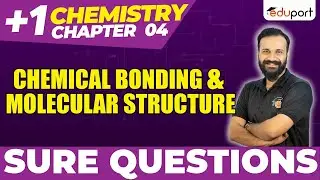Plus One Chemistry Chapter 4 | Chemical Bonding & Molecular Structure | Sure Questions