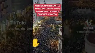 Manifestaci&oacute;n 9N Valencia. Dimisi&oacute;n de responsables. Mazon, Pedro S&aacute;nchez, Margarita Robles,....