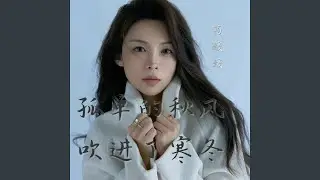 孤单的秋风吹进了寒冬 (卡点节奏版)