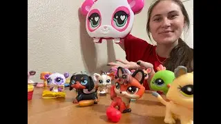 Little pet shop details