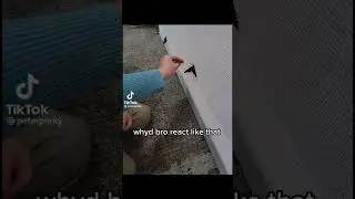 Kid with butterfly 💀 #funny #newmemes #funniestmemes #meme #funnymemes #memes #fail funnyvideo