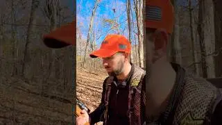 BUCK SIGN!! #bucks #deerseason #deer #hunting #scrape #camera #film #buck #whitetail #whitetaildeer