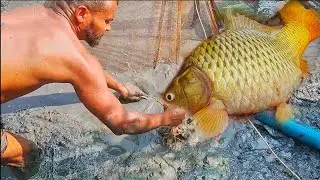 Most Amazing & Unbelievable Big Pond Fishing Video 2025 Everyone Should Watch This Fishing Video