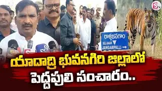 యాదాద్రి జిల్లాలో పెద్దపులి సంచారం..! | Big Tiger Roaming In Yadadri District | @SumanTVYadadri