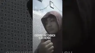 cochise-hatchback (dexy lofi remix)