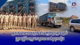ជ្រូករស់ជាង១០០ក្បាលនាំចេញពីឡាវគ្មានច្បាប់ ត្រូវមន្រ្តីជំនាញដកហូតបាននៅស្រុករវៀង