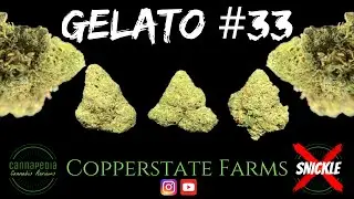 Gelato #33 Strain Review - Copperstate Farms - Cannapedia