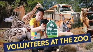 TRIP TO TAMAN SAFARI BOGOR | 🇮🇩 Day 19 (Part 1) Asian Games 2018 Vlog
