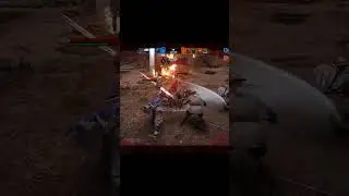 Lil Nobu Edit  #shorts #gaming #memes #forhonor #forhonorgameplay #forhonormemes #forhonormontage