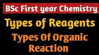 Types Of Reagents || Types OF Organic Reaction || BSc First year Chemistry