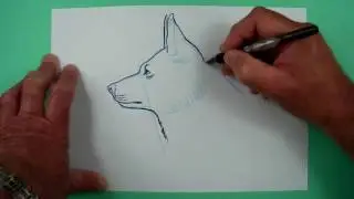 Hundekopf zeichnen leicht gemacht. Zeichnen f&uuml;r Kinder