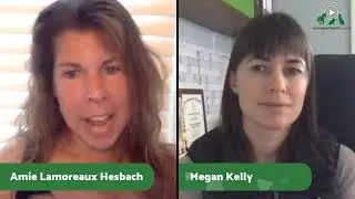 Facebook Live with Megan Kelly & Aime Hesbach