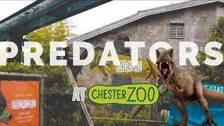Predators at Chester Zoo Walkthrough