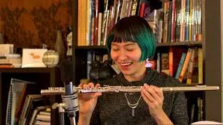 DiZhao DZ 400 Flute