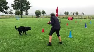 25  Bowlen? Contact met je hond, ook buiten of los in het bos.