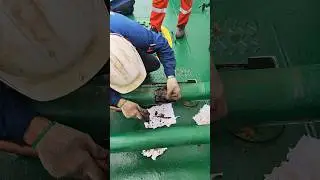 Shit happened in time Bunkering Operation | Fuel Oil switch