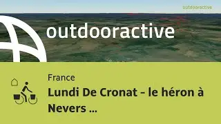 Lundi De Cronat - le h&eacute;ron &agrave; Nevers modifi&eacute;