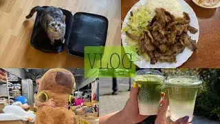 VLOG // SAPA trip a balím do USA