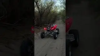 2005 Honda TRX 450R