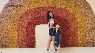 Instagram Paradise: Houston's Flower Vault